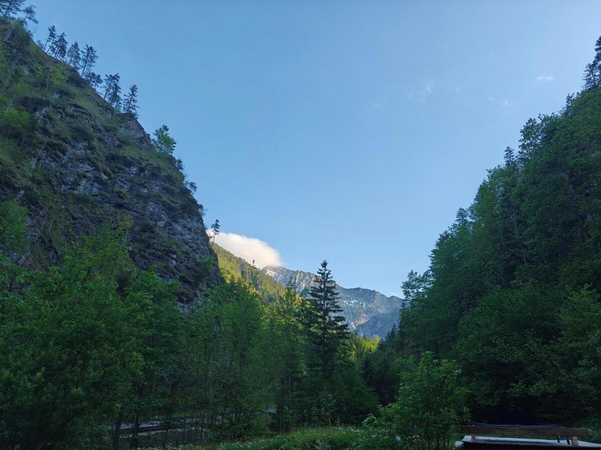 فيلا Idyllic Mountain Huette -Gesaeuse Nationalpark Landl  المظهر الخارجي الصورة