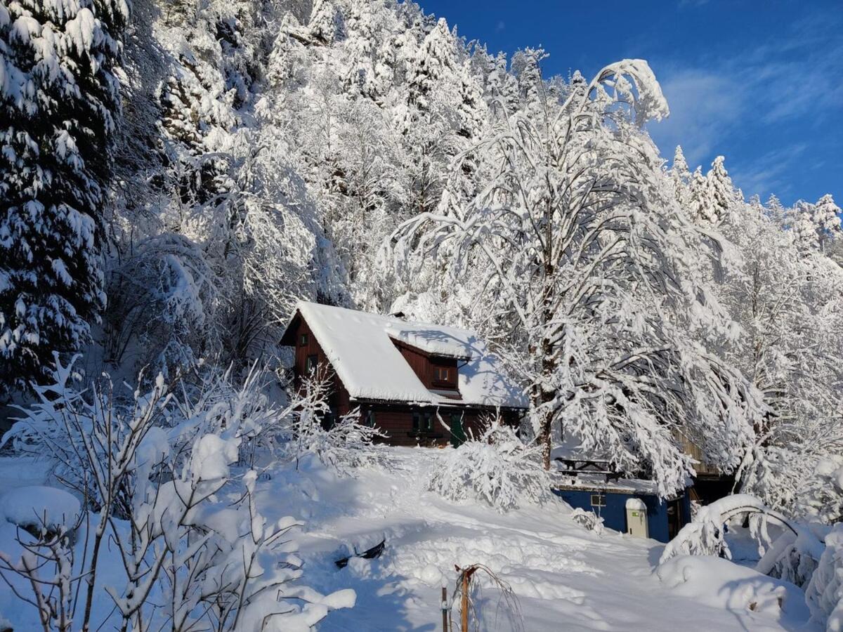 فيلا Idyllic Mountain Huette -Gesaeuse Nationalpark Landl  المظهر الخارجي الصورة